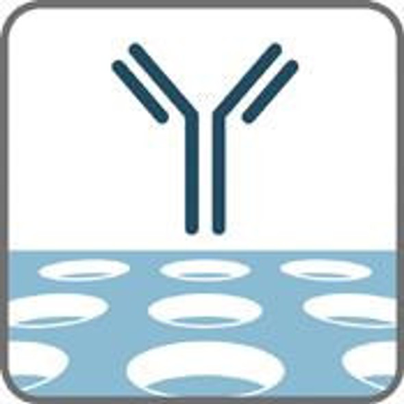 IdentiClone T Cell Receptor Gamma Gene Rearrangement Assay 2.0 - ABI Detection | 9-207-0101