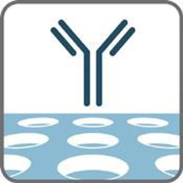 IdentiClone TCRB Gene Clonality Assay - ABI Fluorescence Detection | 9-205-0011