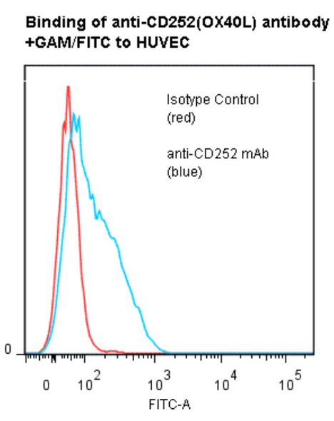 anti-CD252(OX40L) | 400-020