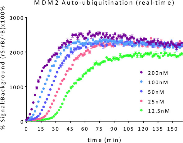 MDM2 E3 Ligase TR-FRET Kit | SBB-KF0030