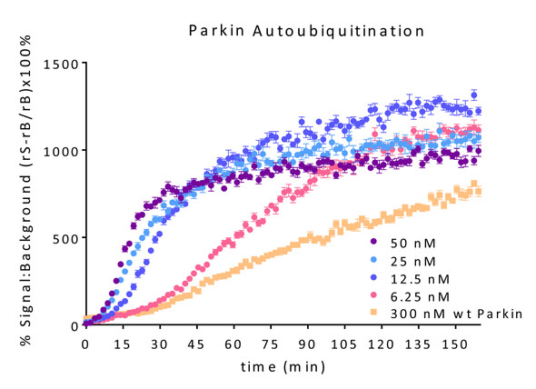 Parkin E3 Ligase TR-FRET Kit | SBB-KF0036