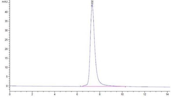 Recombinant SARS-CoV-2 Spike RBD | bs-46003P