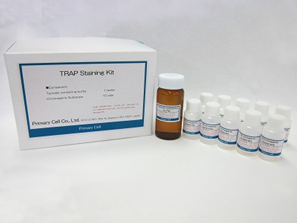 TRAP Staining Kit | PMC-AK04F