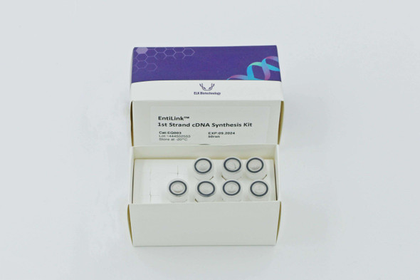 EntiLink™ 1st Strand cDNA Synthesis Kit (+gDNA Eraser) | EQ003