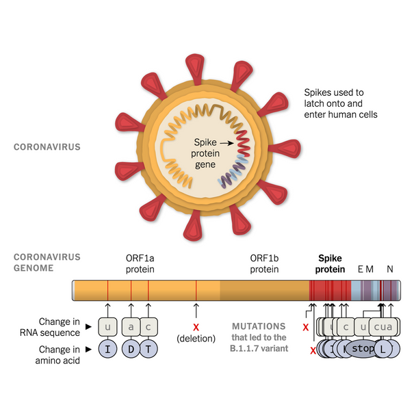 SARS-CoV-2 full-length Trimeric Spike Recombinant Antigen B.1.429 Mutation (U.S. California Variant)