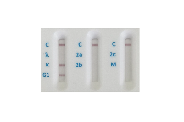 Rat IgM lambda light chain GENISOTYPE02