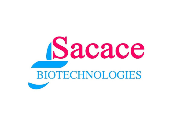 Escherichioses Screen & Diff RT-PCR