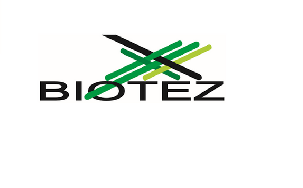 Recombinant Human Soluble TNFα, His-tagged