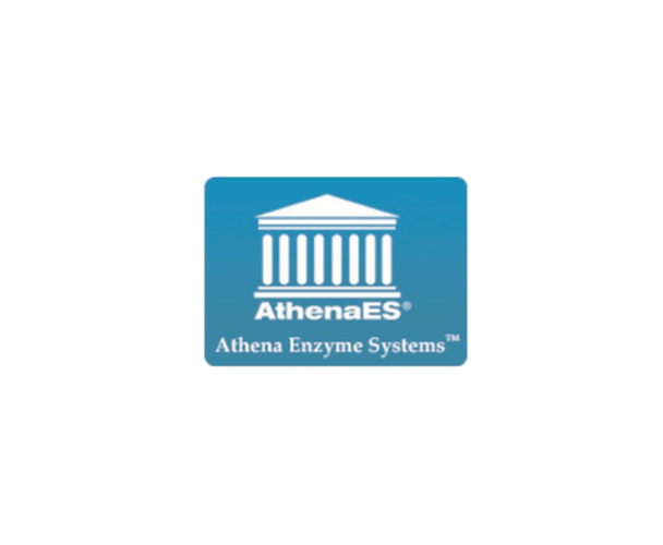 APF LB Broth Miller APF LB Broth Miller