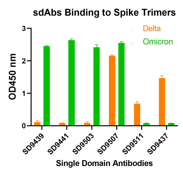 SARS-CoV-2 (COVID-19) Spike RBD Antibody [T5P8-F9] | SD9503