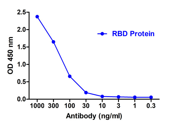 SARS-CoV-2 (COVID-19) Spike RBD Antibody [T5P7-G12] | SD9505