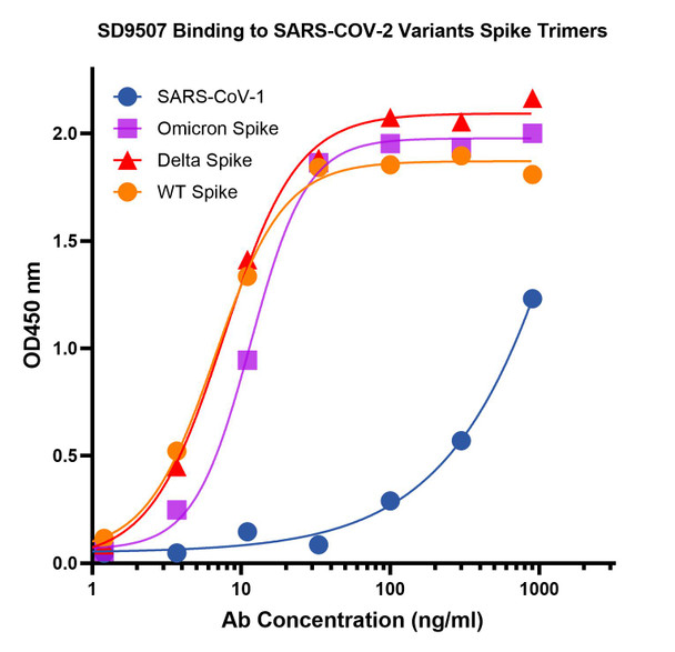 SARS-CoV-2 (COVID-19) S1 RBD Antibody [T4P5-H12] | SD9507