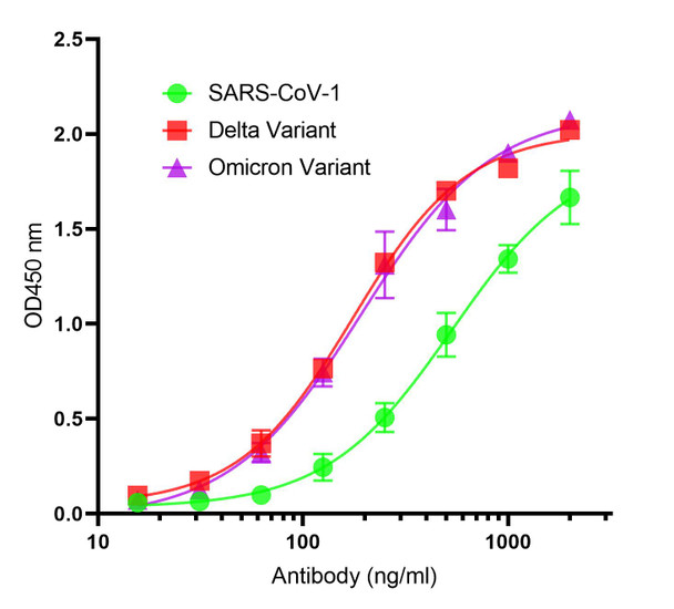 SARS-CoV-2 (COVID-19) Spike S2 Antibody [P1A6] | SD9785
