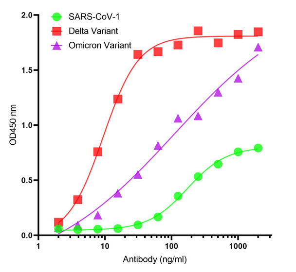SARS-CoV-2 (COVID-19) Spike S2 Antibody [P1B8] | SD9787
