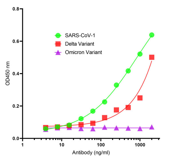SARS-CoV-2 (COVID-19) Spike S2 Antibody [P1A9] | SD9791