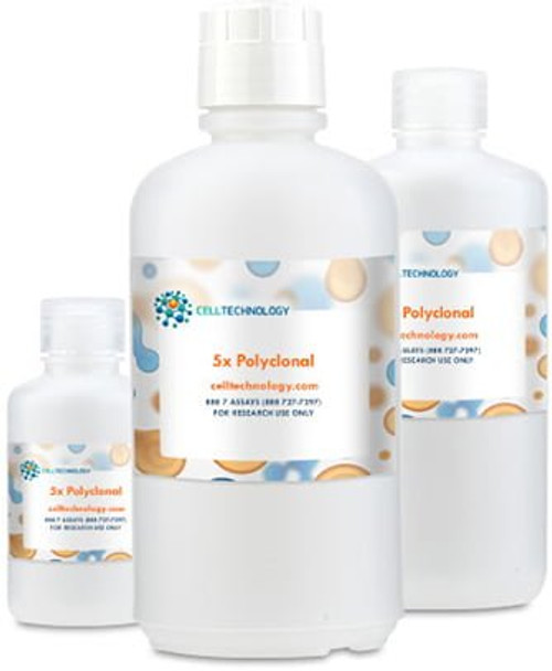 5x Poly/Poly Conjugate Diluent