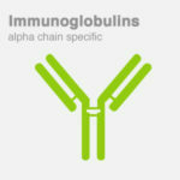 Antiserum to Human IgE (epsilon chain specific) made in goat | 104002