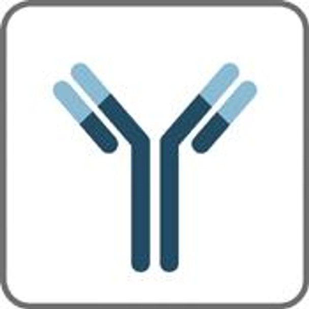 beta 2 Microglobulin antibody [B1G6] | GTX44354