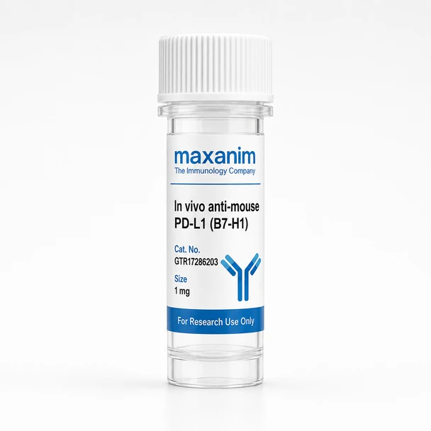 In vivo anti-mouse PD-L1 (B7-H1) Maxanim