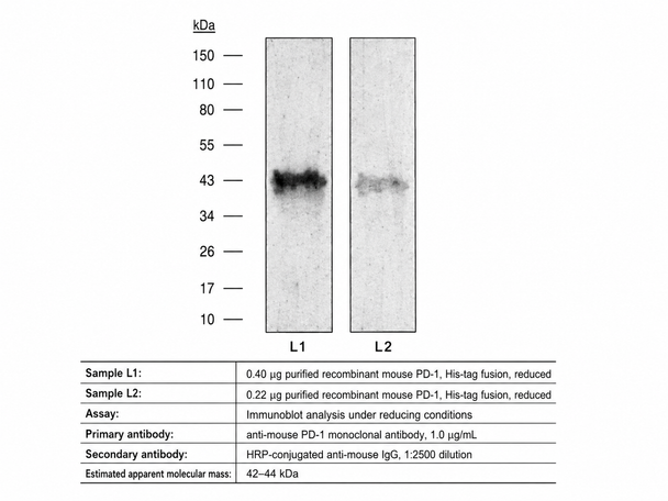In vivo anti-mouse PD-1 (CD279)