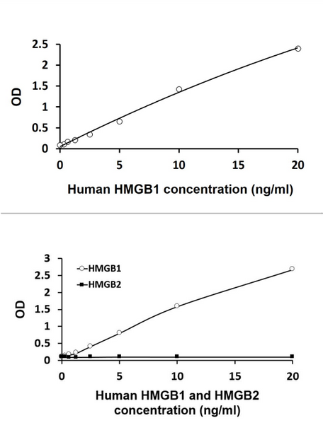 Human HMGB1 ELISA Kit | ARG81185