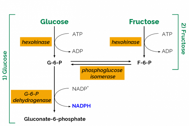 D-Fructose/D-Glucose Assay Kit | K-FRUGL