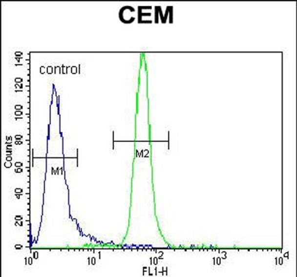 Rabbit anti-Human, mouse MUSK Polyclonal Antibody | MBS9205728