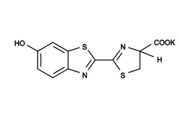 D-Luciferin, potassium salt | 12505