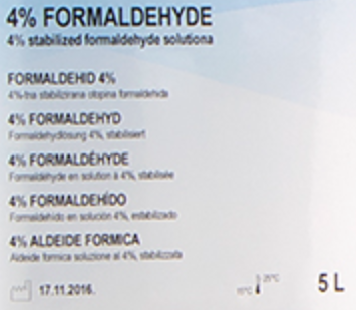 formaldehyde 4% fixation