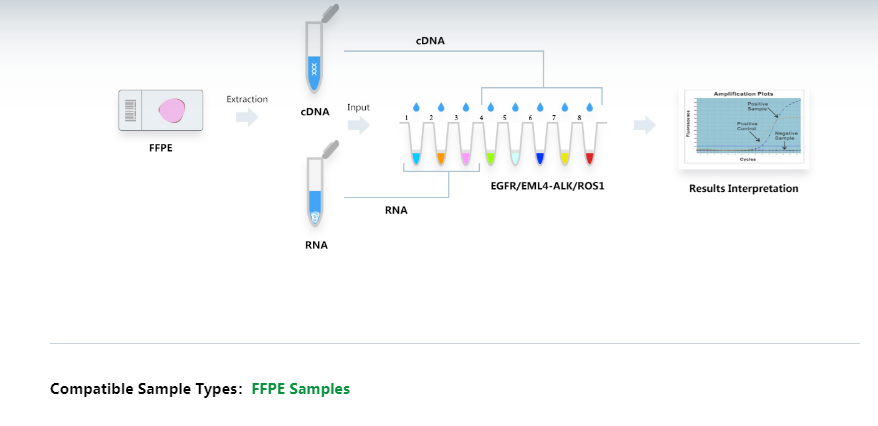 AmoyDx® EGFR/ALK/ROS1 Mutations Detection Kit | 8.01.25501W008 | AmoyDx