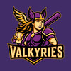 Valkyries Youth Hoodie - $35.00