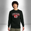 Wildcats Adult Crewneck Sweater - $30.00