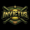 Invictus 10u Adult Cotton Black Hoodie - $35.00