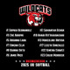 Wildcats Adult Hoodie - $35.00