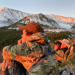 Michael's Mid-Season System