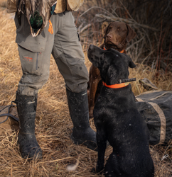 A Review That Says It All: Highwood 400g A Review That Says It All: Highwood 400g