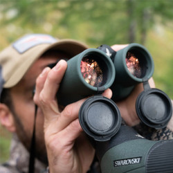 ​Swarovski EL Range TA - First Look