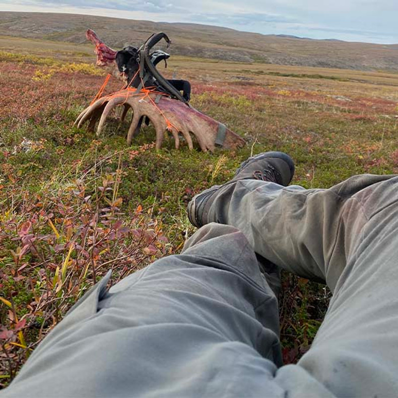 Sitka Timberline Pant - The Best Hunting Pants in the World