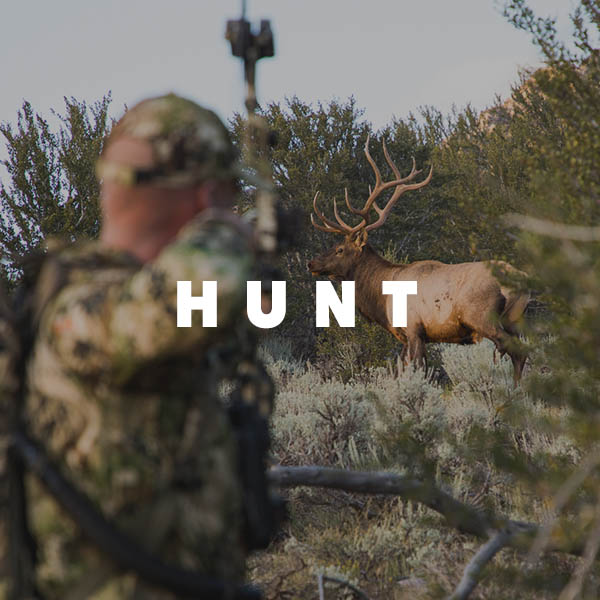 Hunt Gear