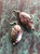 Abalone earrings