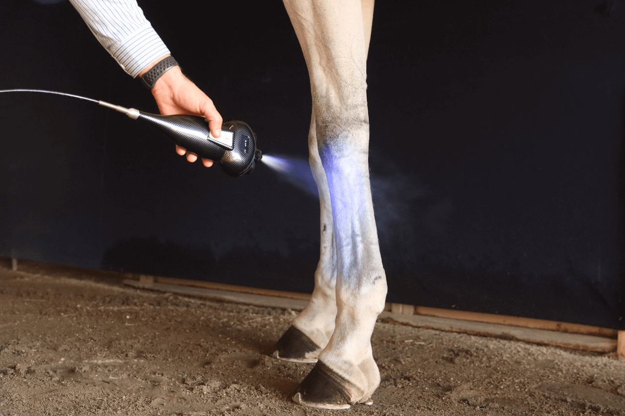 Mystic Ice Equine Cryotherapy - Therapy and Equipment Sales