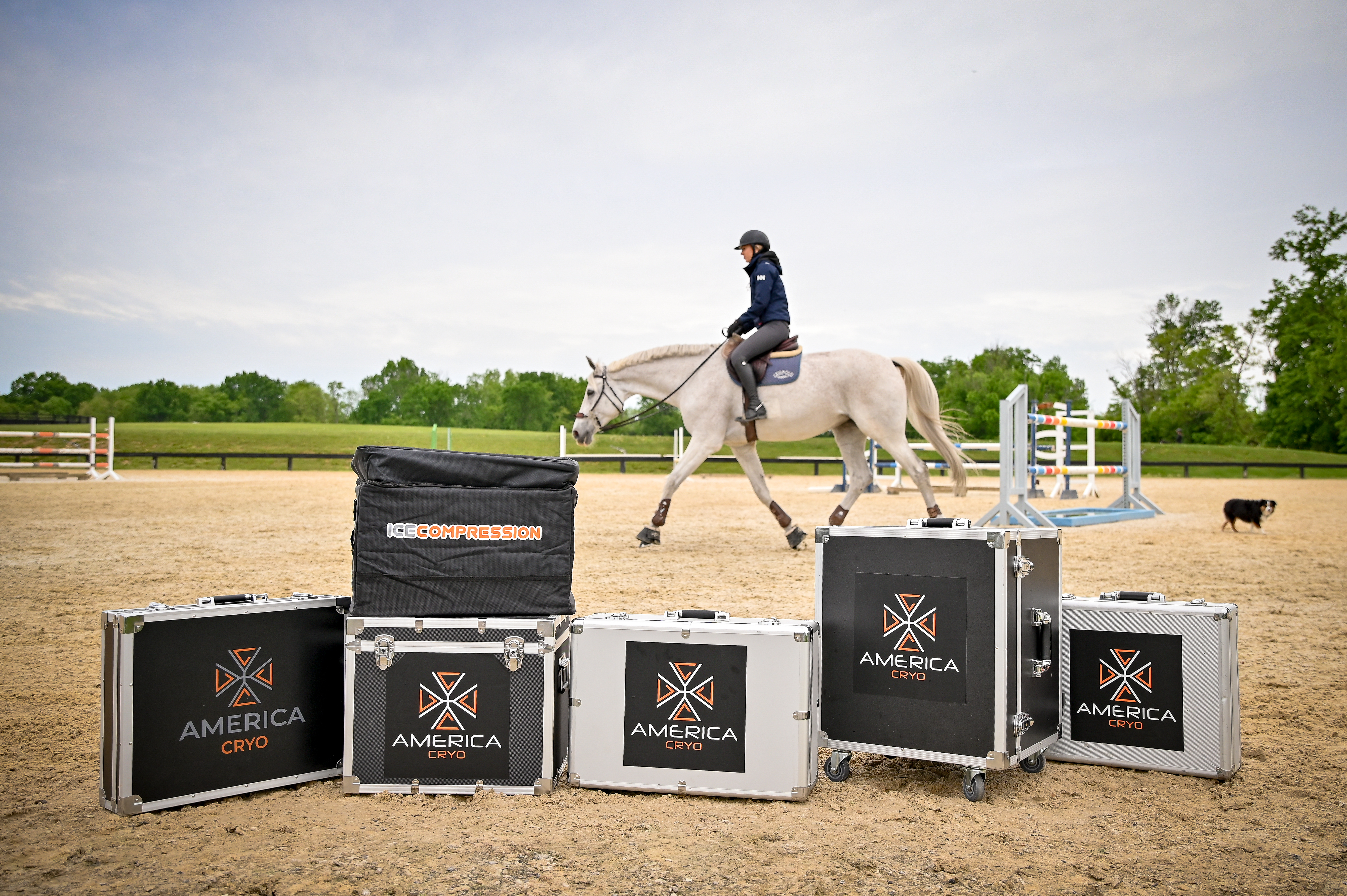 Mystic Ice Equine Cryotherapy - Therapy and Equipment Sales