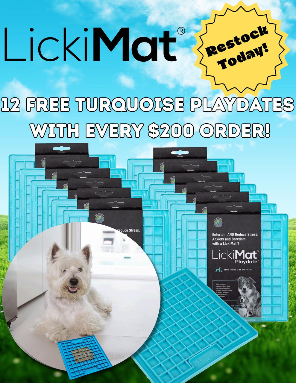 Free Add-On with Purchase