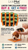 Buy 8 get 4 Free! LickiMat Playdate Special- Lick Mat