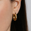 Pisa Hoop Earrings – Gold Plated