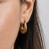 Roma Hoop Earrings – Gold Plated