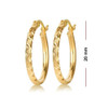 Small Hoop Earrings – Gold Plated