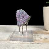 Silver Specimen Stand