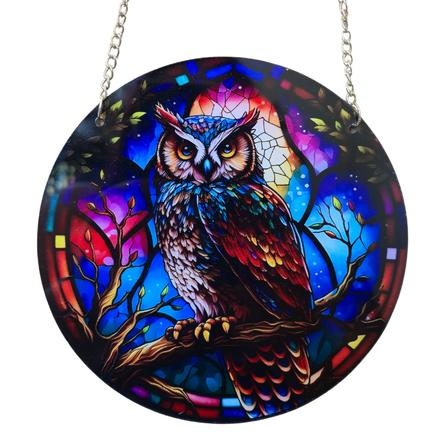 15cm Acrylic Suncatcher - Midnight Owl