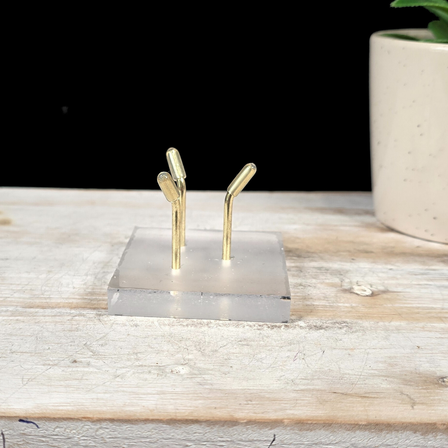 Gold Specimen Stand